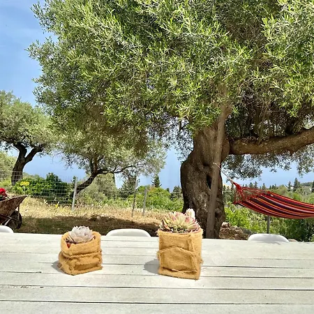 Trikoupis Agios Nikolaos (Zakynthos)