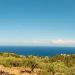 Trikoupis Agios Nikolaos (Zakynthos)