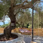 Trikoupis Ajos Nikolaos