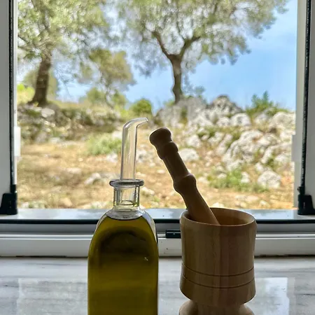 Trikoupis Agios Nikolaos (Zakynthos)